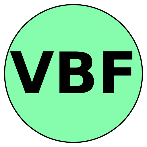 Vision Beauty Forge